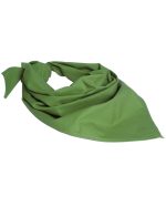 BW DREIECKSTUCH ORIG.OLIV NACH TL