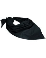 BW DREIECKSTUCH ORIG.SCHWARZ NACH TL