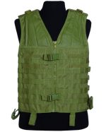 MOLLE CARRIER WESTE OLIV