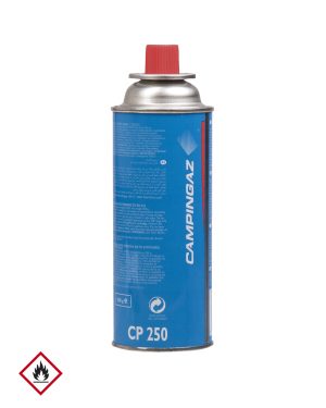 GASKARTUSCHE BUTAN 250GR M.VENTIL