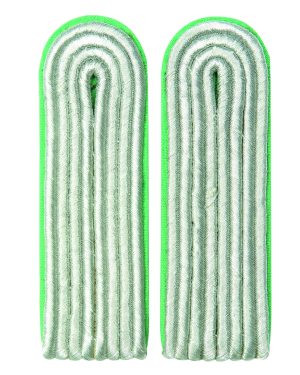 NVA SCHULTERKLAPPEN OFFZ.PASP.GRÜN