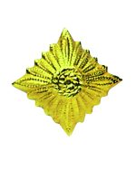 NVA DIENSTGRADSTERN GOLD