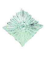 NVA DIENSTGRADSTERN SILBER