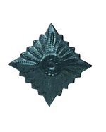 NVA DIENSTGRADSTERN MATT